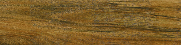 Acacia Natural